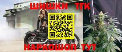 стаф Славгород