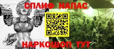стаф Славгород