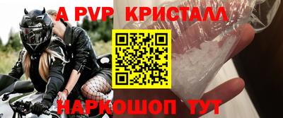 стаф Славгород