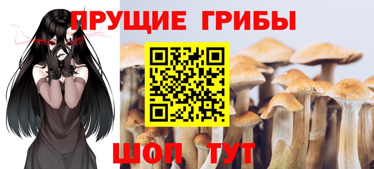 Галлюциногенные грибы MAGIC MUSHROOMS  купить закладку  Нижний Тагил  Вход с VPN 